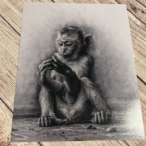 Monkey Photography Art Unframed